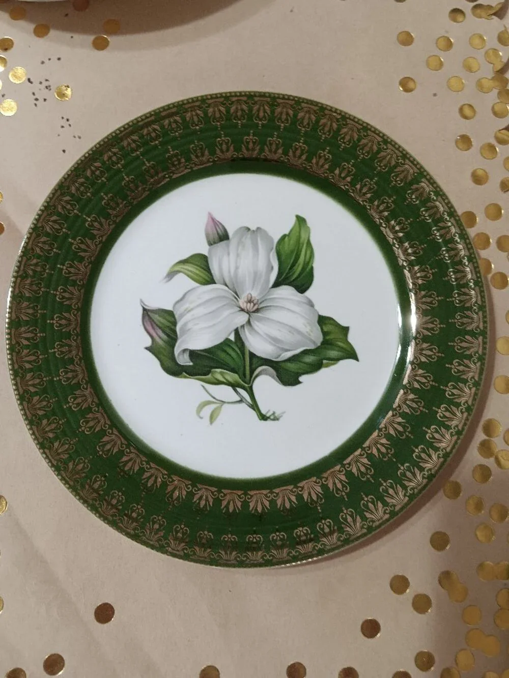 Set of 2 Vintage Trillium Forest Green 22K Gold 10” Dinner Plates MINT! LQQK!